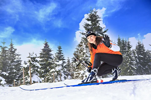 Kayaklı koşu — Stok fotoğraf