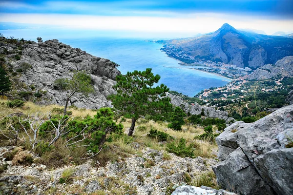 Adriatic coast — Stock Photo, Image