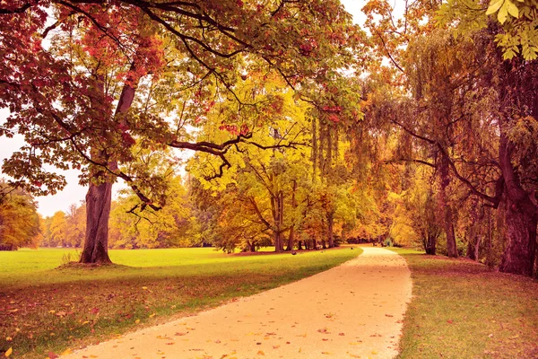 Parc à l'automne — Photo