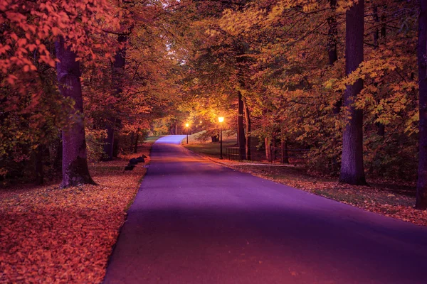 Park im Herbst — Stockfoto