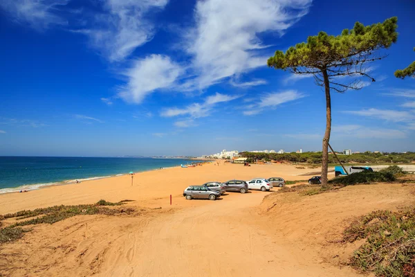 La côte de l'Algarve — Photo