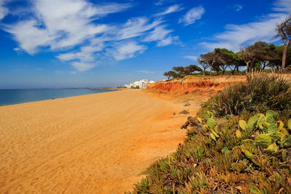 Algarve kıyısında — Stok fotoğraf