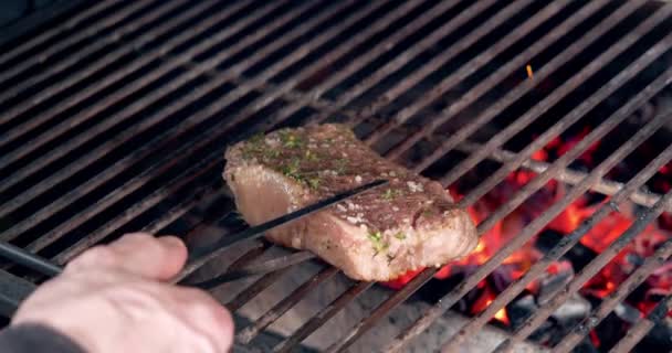 在火堆上的铁丝架上，用香料和香草炸牛肉牛排吃多汁的肉馅牛排. — 图库视频影像