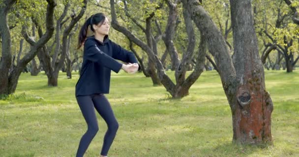 Młoda, atrakcyjna kobieta w sportowej odzieży, ćwicząca przysiady w parku na świeżym powietrzu. Koncepcja zdrowego stylu życia — Wideo stockowe