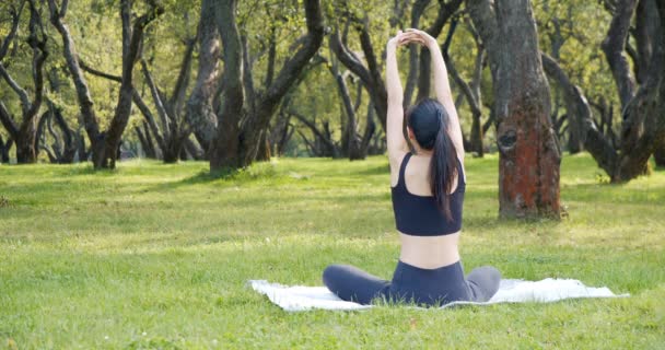 Mujer joven haciendo estiramiento sentado en la hierba en el parque. Vista desde atrás. Yoga y concepto de estilo de vida saludable. — Vídeos de Stock