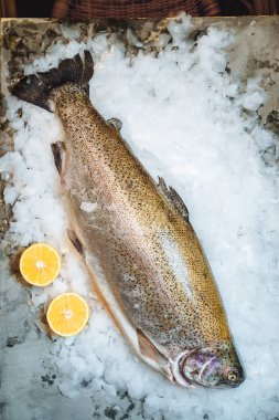 Restoranda yemek pişirmek için buzlu balık. Gri arka planda limon dilimleri olan taze çiğ alabalık balığı..