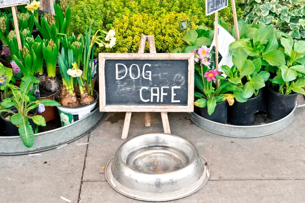 Café σκυλιών — Φωτογραφία Αρχείου
