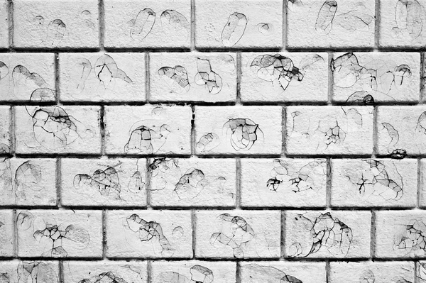 Mur en brique blanche — Photo