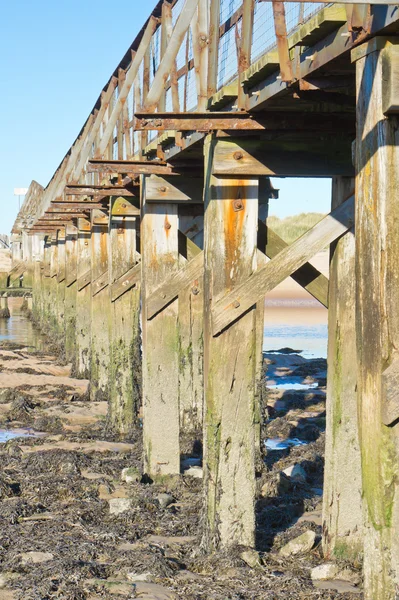 Une passerelle en bois — Photo