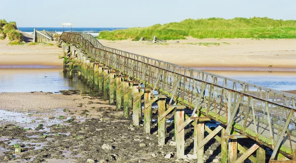 Lossiemouth beach jetty — Stock Photo, Image