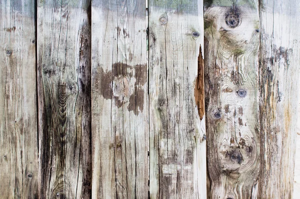 Vyzrálé dřevo — Stock fotografie