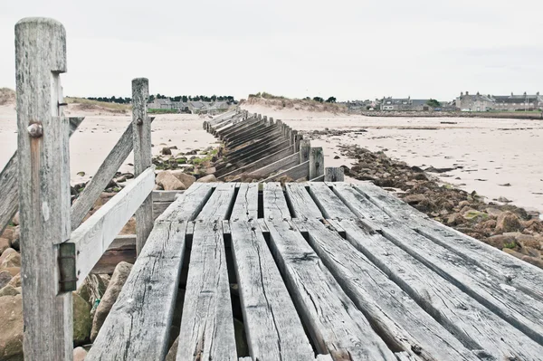 A Wooden walkway — Stock Photo, Image