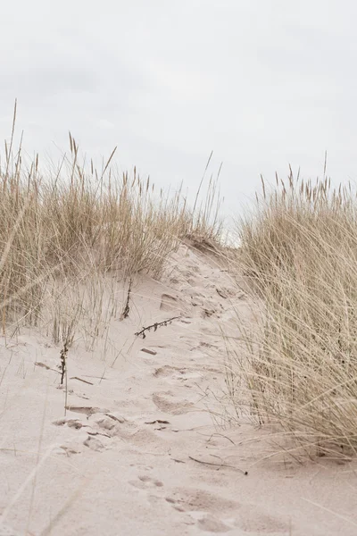 A sand dune — Stock Photo, Image