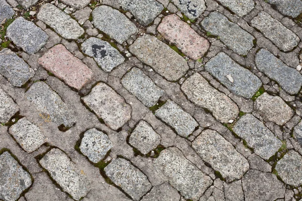 Old paving stones — Stock Photo, Image