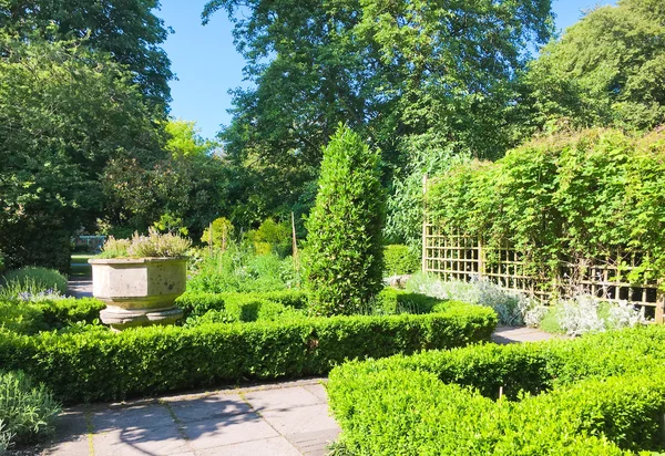 Un giardino terrazzato — Foto Stock