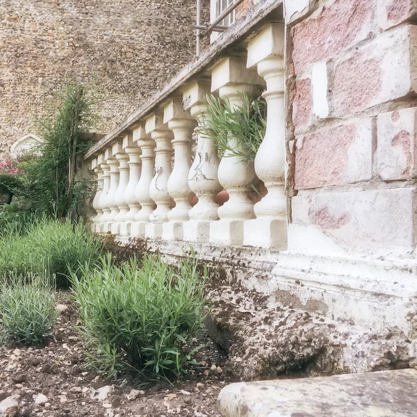 Detalhe da parede do jardim — Fotografia de Stock