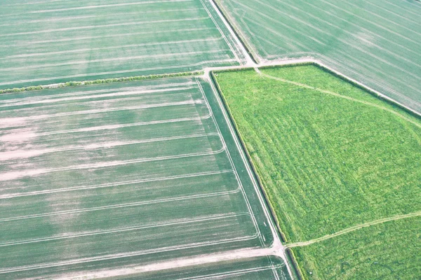 Crop fields — Stock Photo, Image