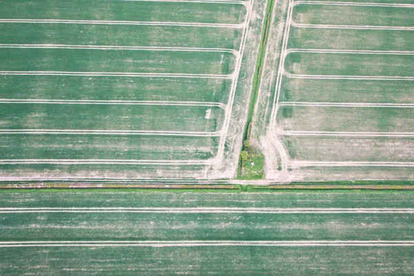 Campos de cultura — Fotografia de Stock