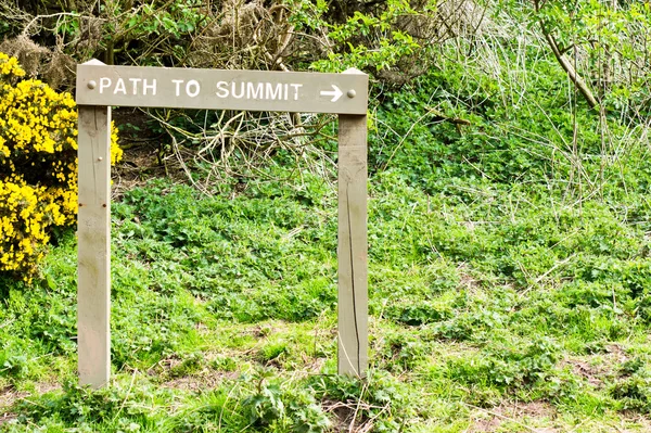 Path to summit — Stock Photo, Image