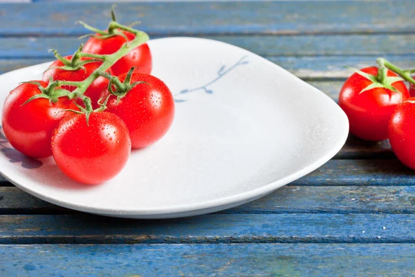 Tomates — Fotografia de Stock