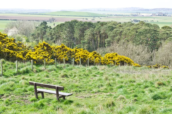Lothian landscape — Stock Photo, Image