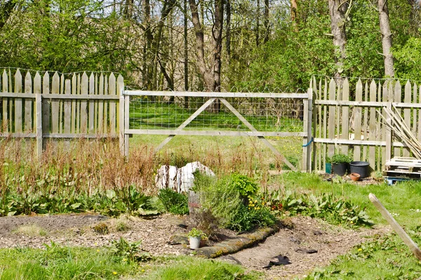 Gemüsegarten — Stockfoto