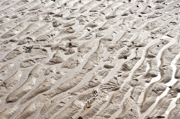 Kum kalıp — Stok fotoğraf