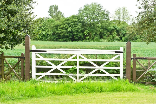 Farm gate — Stock Photo, Image