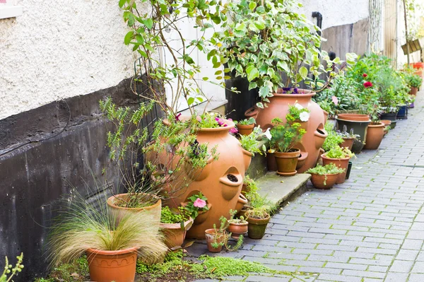 Plant potten — Stockfoto
