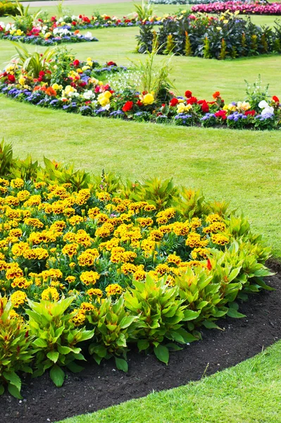 Zomertuin — Stockfoto