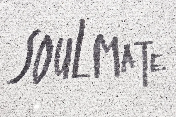 Soulmate — Stock Photo, Image