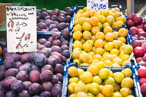 Plums — Stock Photo, Image