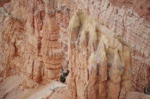 Точечный Снос Национального Памятника Кедровый Лес Utah 6943 — стоковое фото