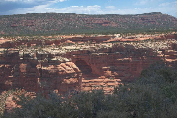 Arch Canyon Overlook Bears Ears National Monument Soutongutah 7013 — 스톡 사진