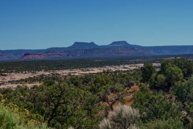 Utah Eyaleti 'nden Bear Ears Buttes 95 _ 7105