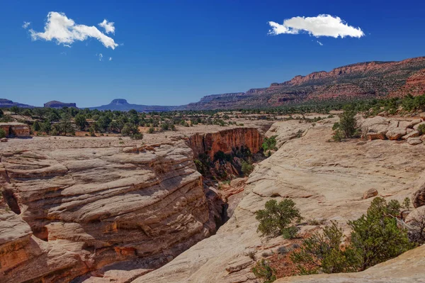 Güneydoğu Utah 'taki Bears Ears Ulusal Anıtı' nda Kızartma Kanyonu Harabeleri
