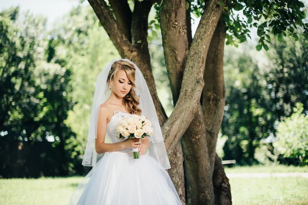 Hermosa novia en vestido blanco cerca de un árbol — Foto de Stock