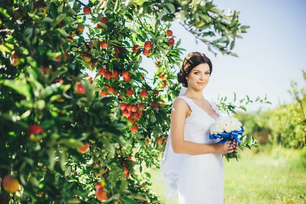 Noiva no jardim da maçã — Fotografia de Stock
