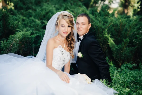Bruden sitter tillsammans med brudgummen på grönt gräs park — Stockfoto