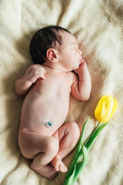 Child baby boy with tulip. Mothers day