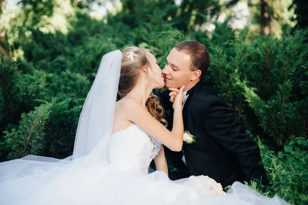 Bruden sitter tillsammans med brudgummen på grönt gräs park — Stockfoto