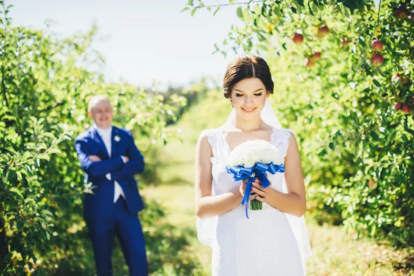 Невеста в яблочном саду — стоковое фото