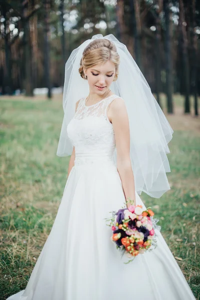 A noiva em um vestido branco — Fotografia de Stock