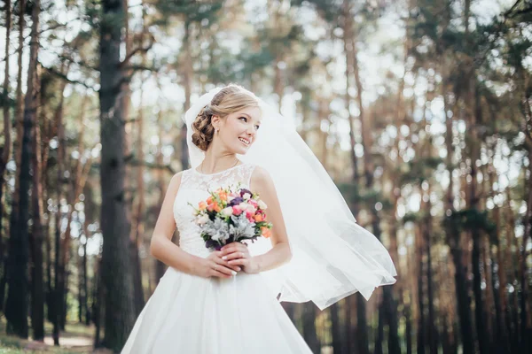 Die Braut im weißen Kleid — Stockfoto