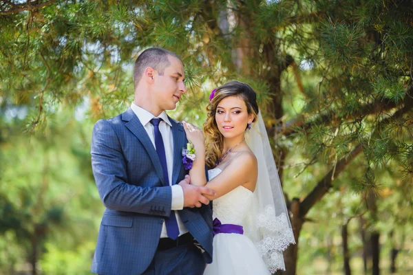 Bruid en bruidegom omarmen — Stockfoto