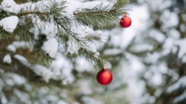 Kız oyuncaklar Noel ağacı üzerinde asılı
