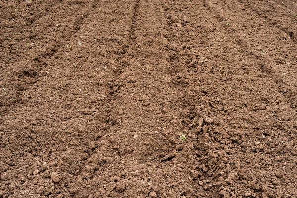 Plowed soil in the spring garden — Stock Photo, Image