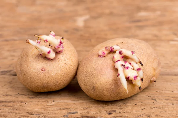Filizlenmiş patates eski ahşap rustik masa - seçici odak alanı Kopyala