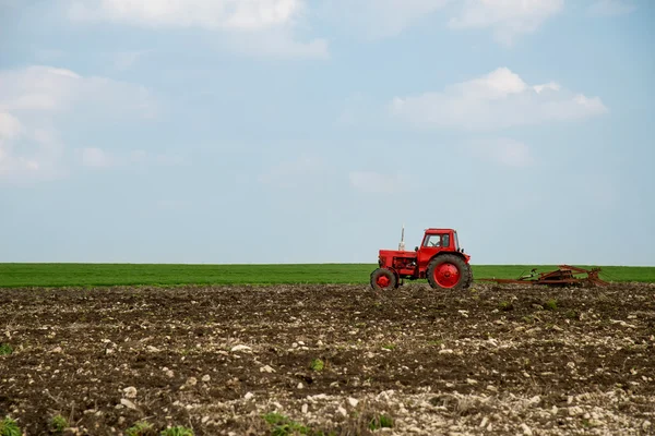 농업 분야에 빨간 트랙터 — 스톡 사진