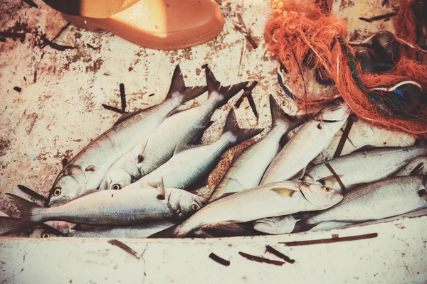 Pego peixe-rabilho no fundo do barco de pesca — Fotografia de Stock